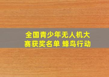 全国青少年无人机大赛获奖名单 蜂鸟行动